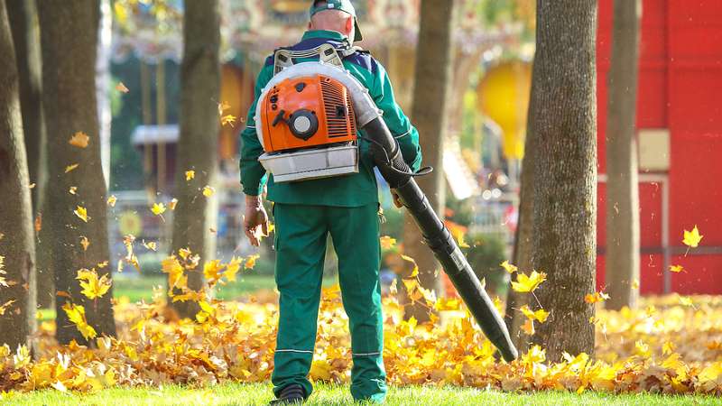 leaf removal