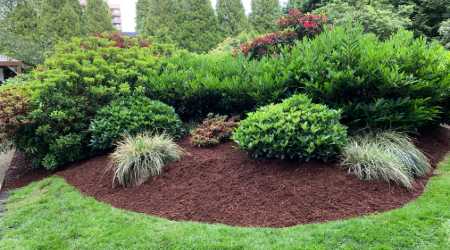 mulch installation